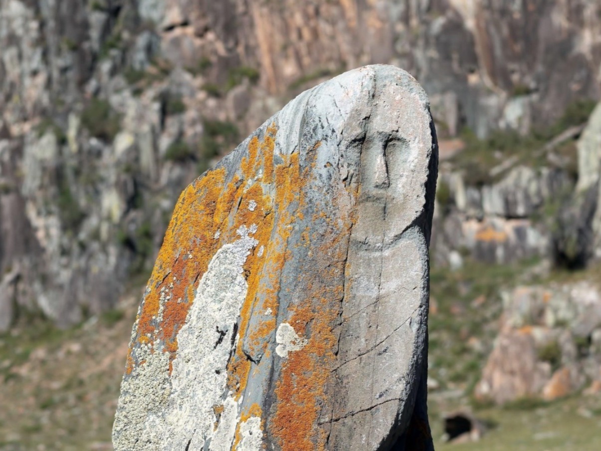 Чуйский оленный камень - фото 2