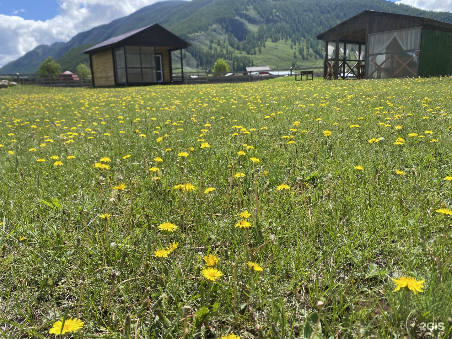 Рассвет - фото 10