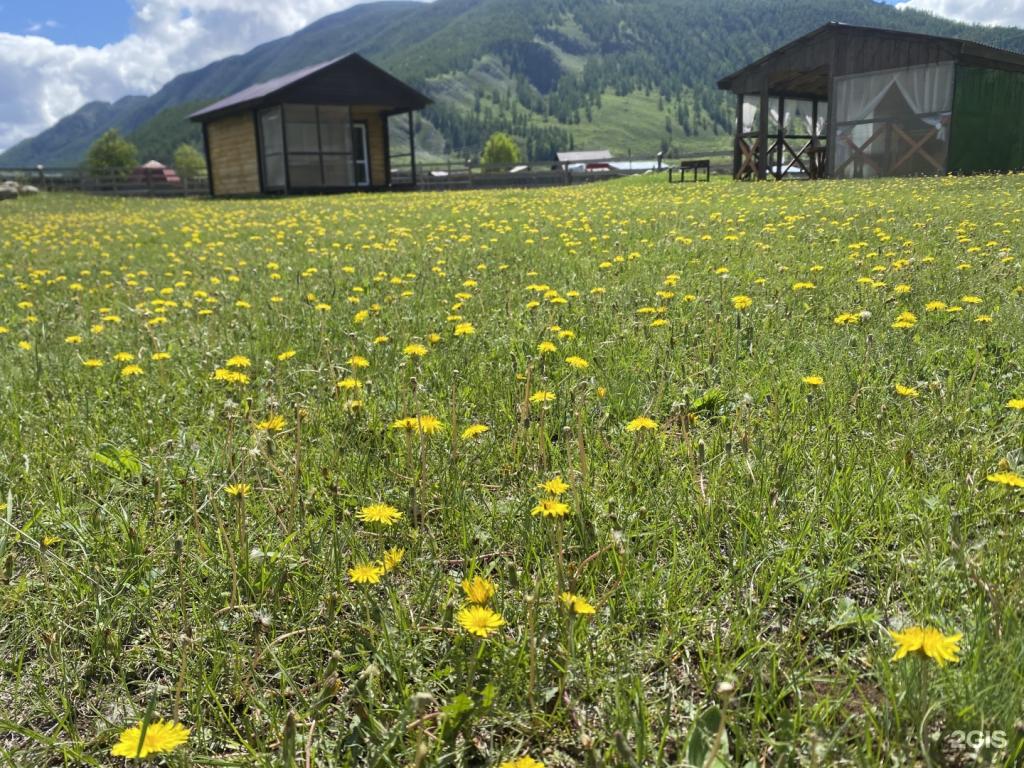 Рассвет - фото 10