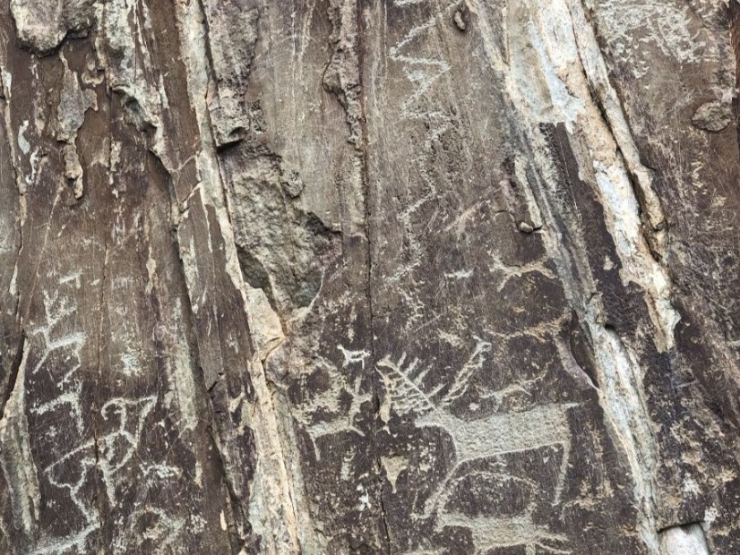 Чуйский оленный камень - фото 4