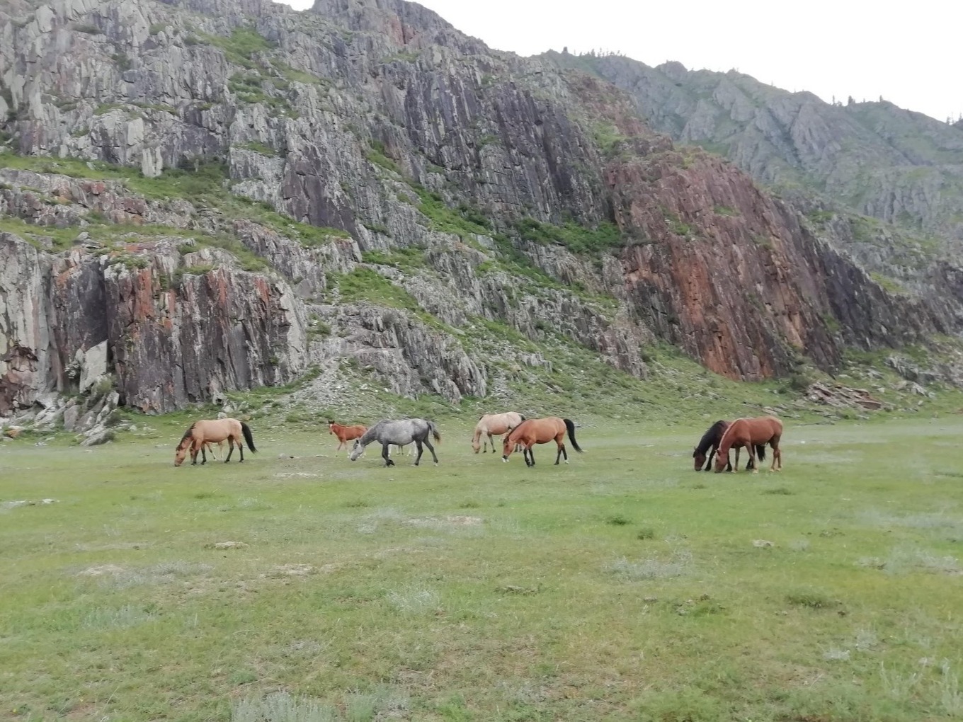 Чуйский оленный камень - фото 5