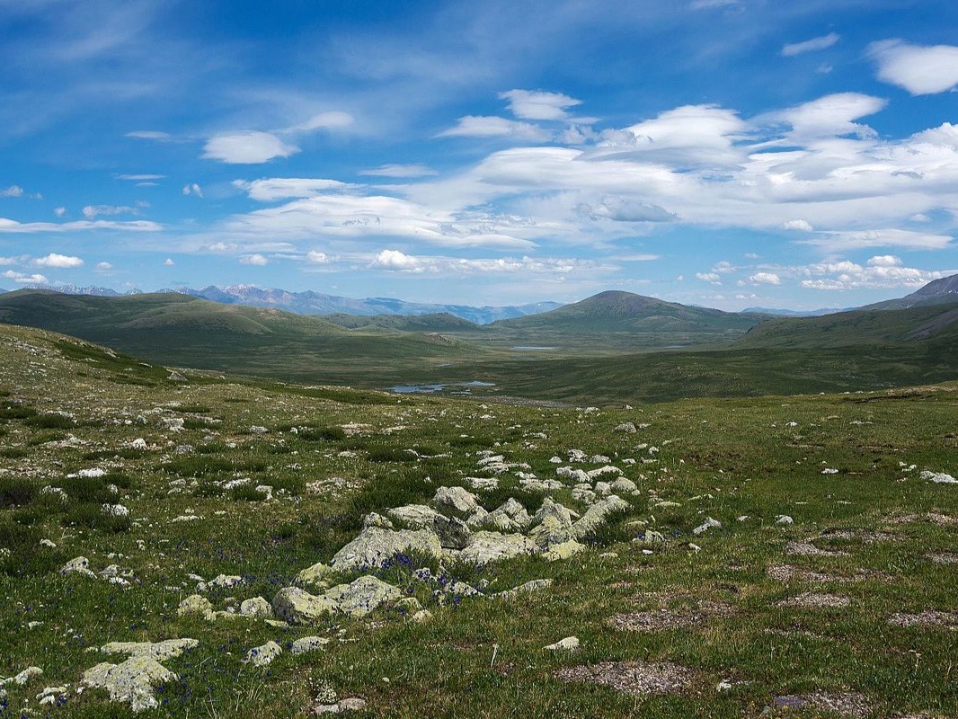 Сумультинский заказник - фото 2