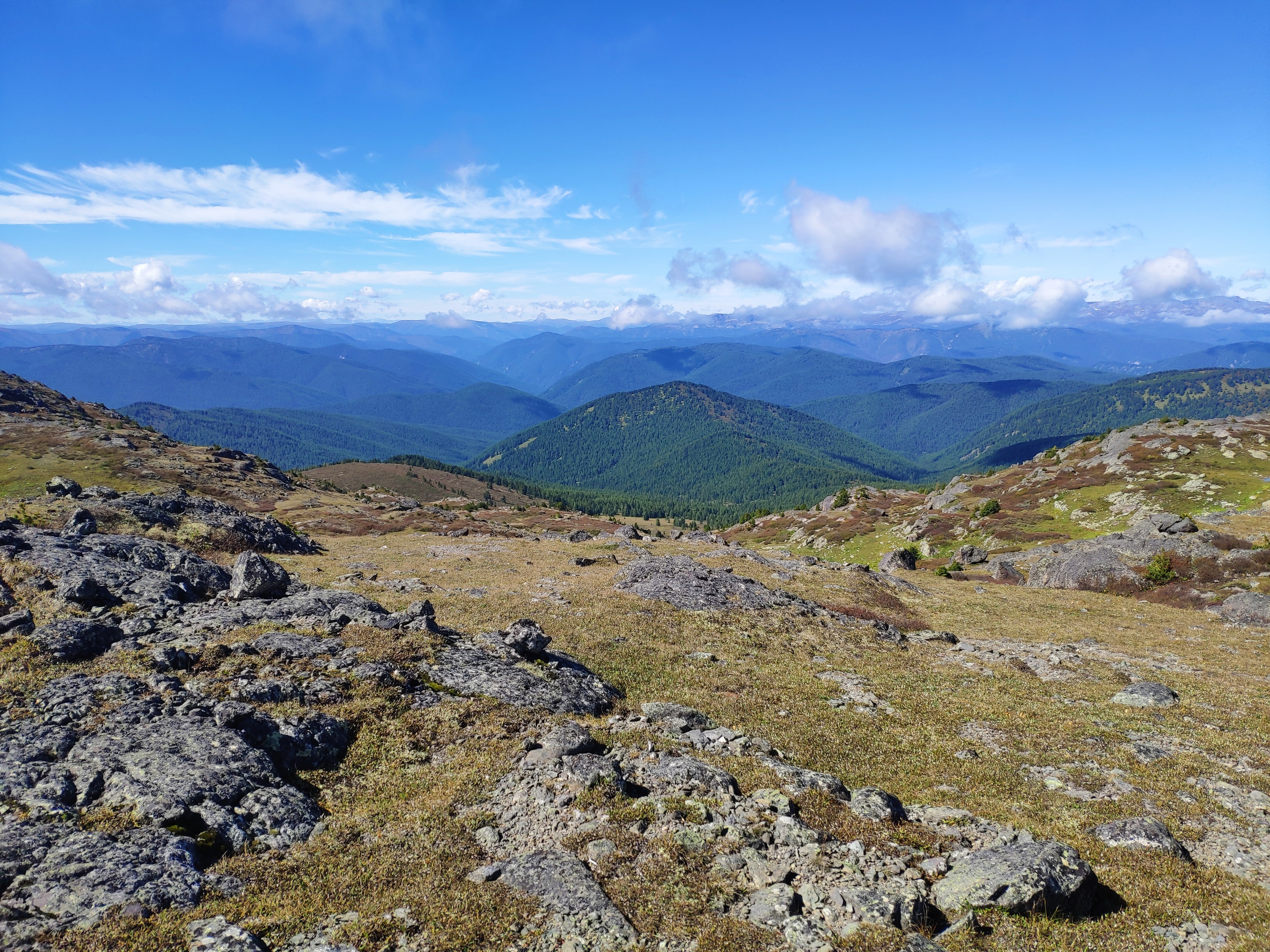 Сумультинский заказник - фото 3
