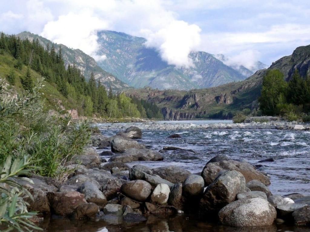 Сумультинский заказник - фото 5