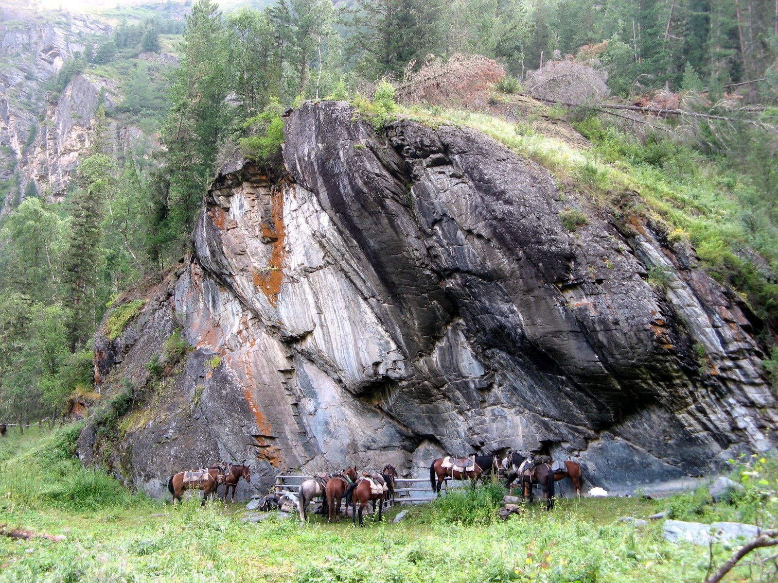 Кучерлинская писаница - фото 2