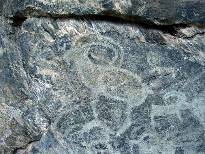 Кучерлинская писаница - фото 4