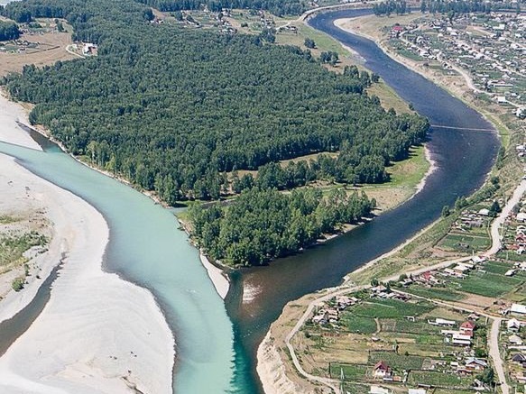 Коксинская роща - фото 2