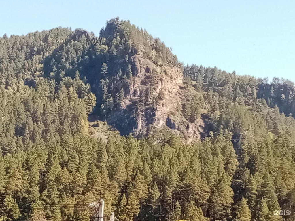 Берингия - фото 10