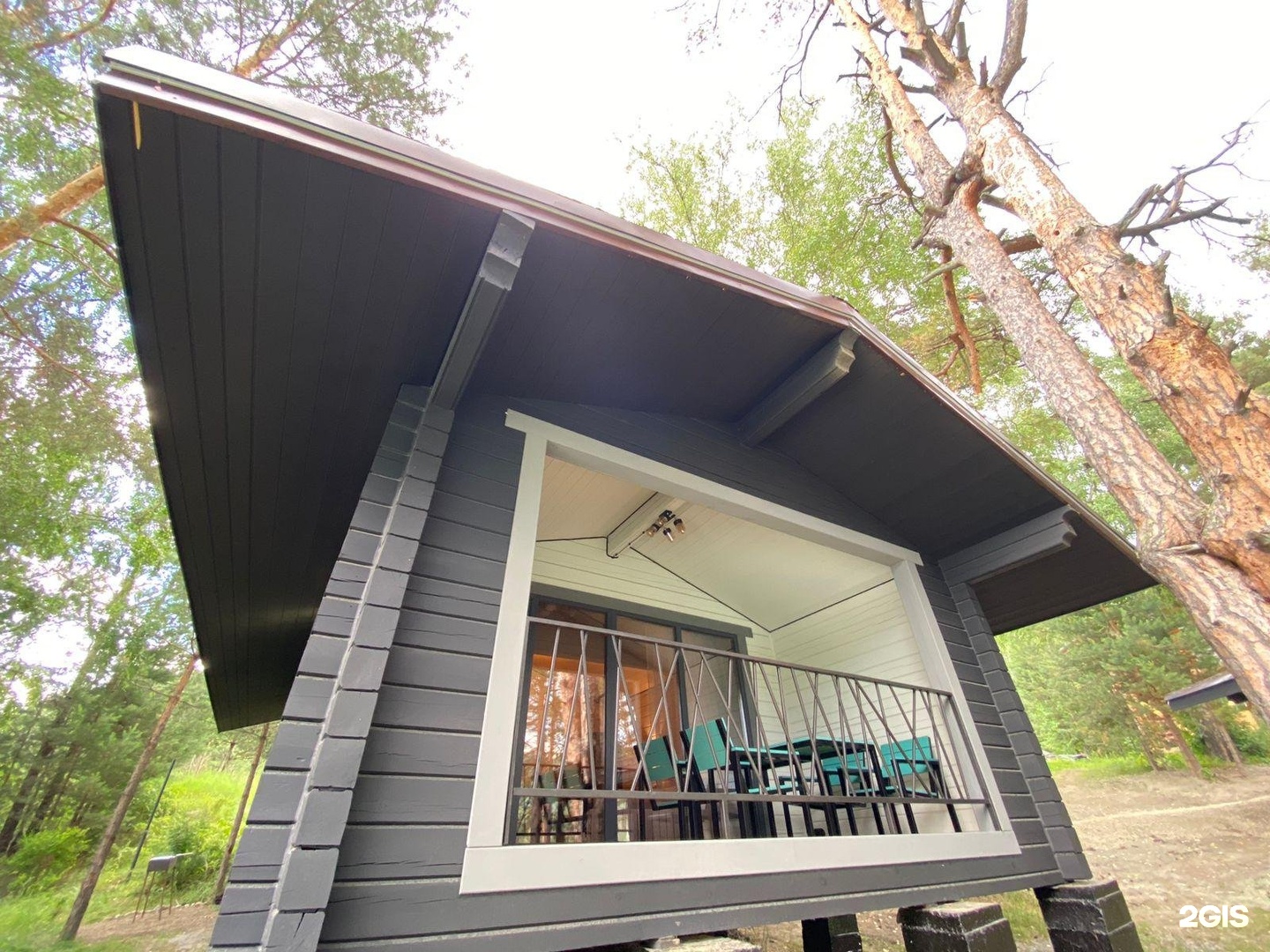 Ёлки Иголки - фото 14