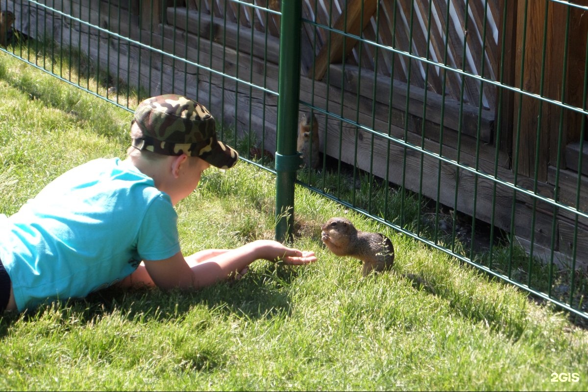 Уют - фото 25