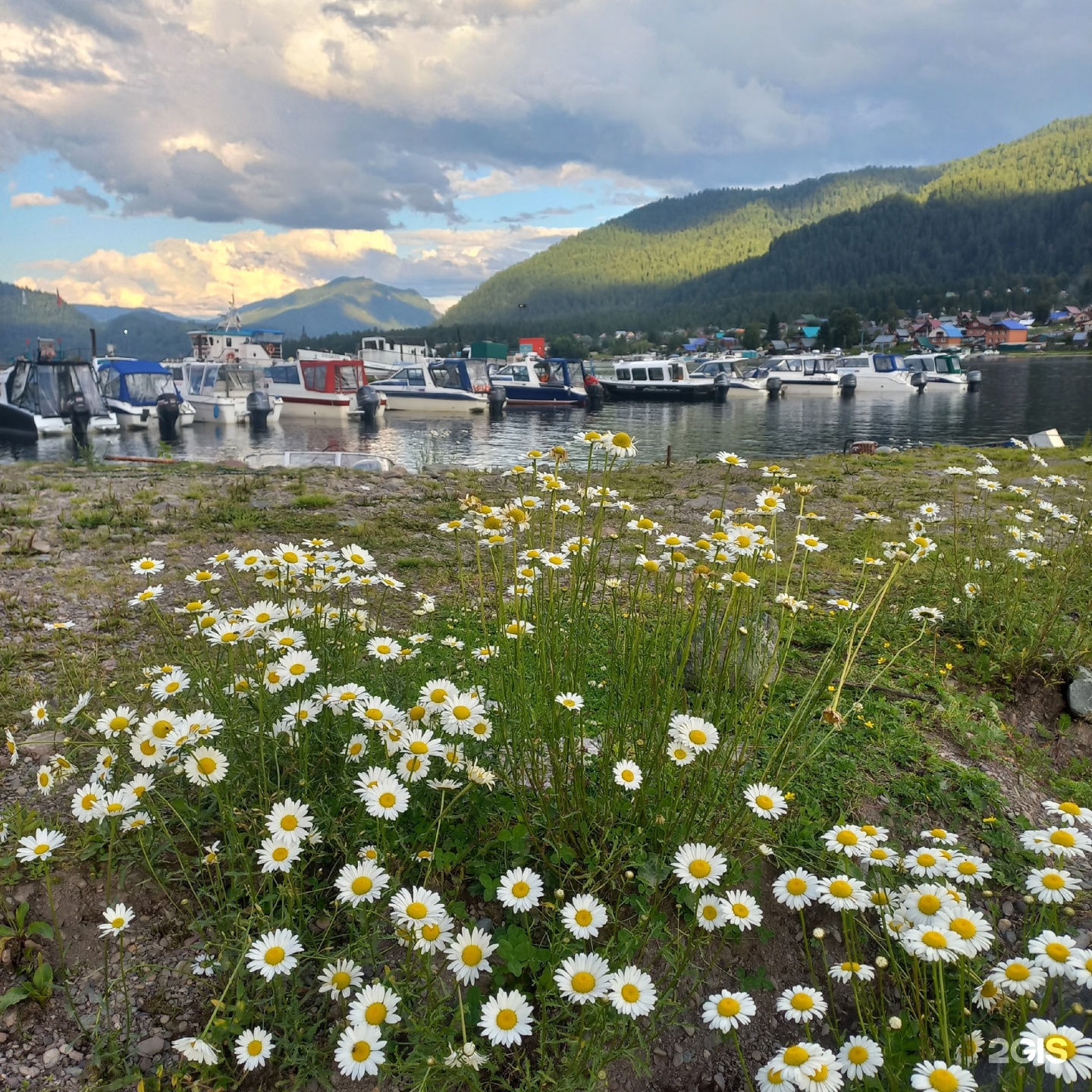 Замок - фото 12
