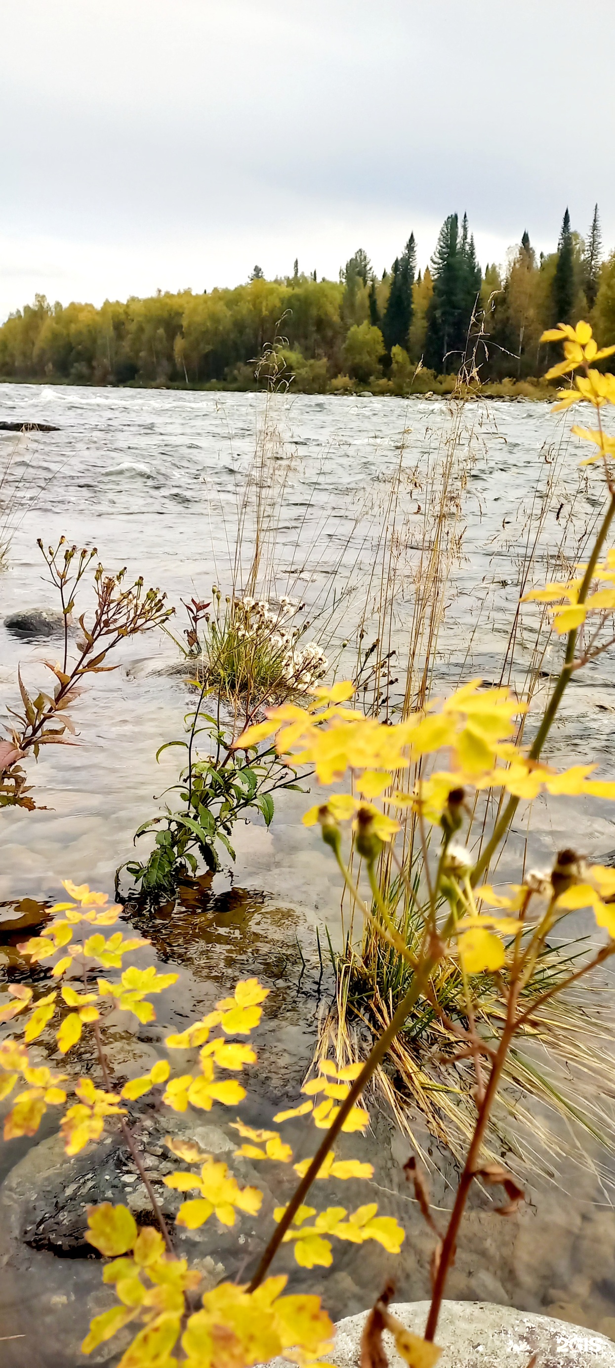 Замок - фото 14