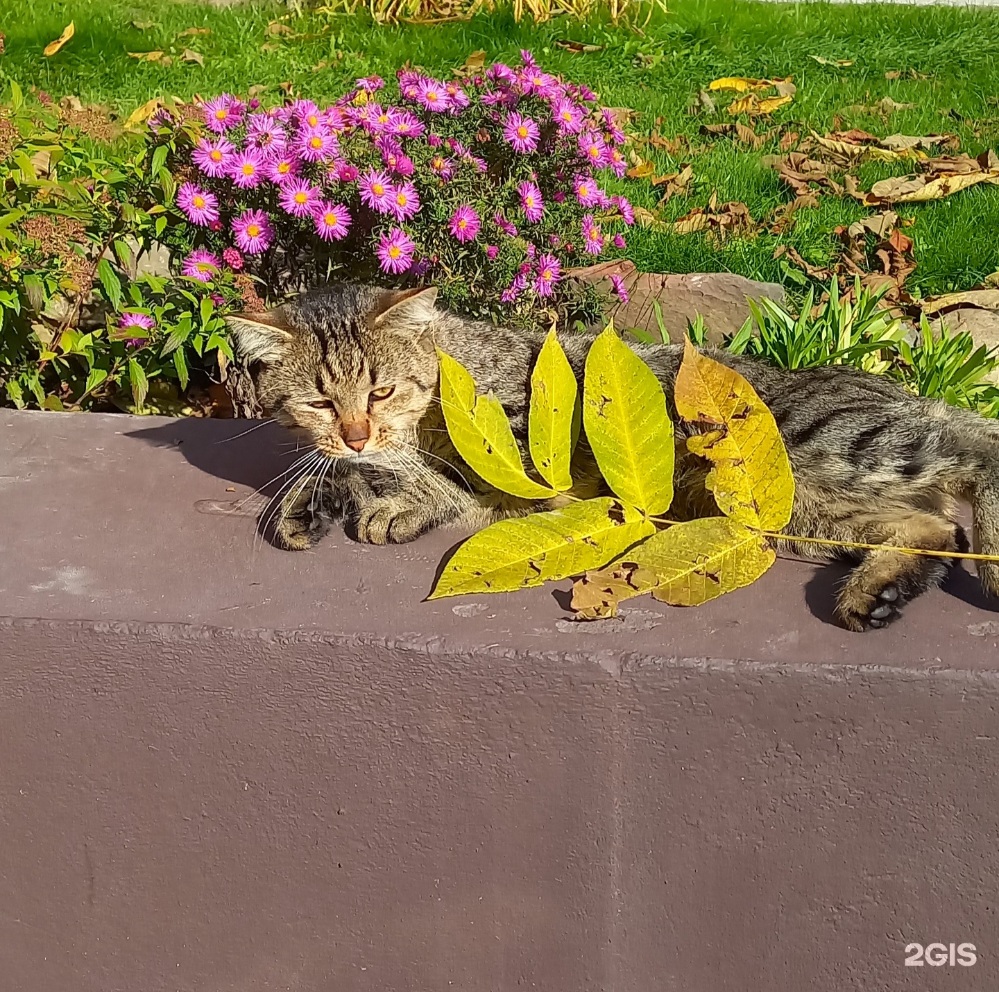 Замок - фото 16