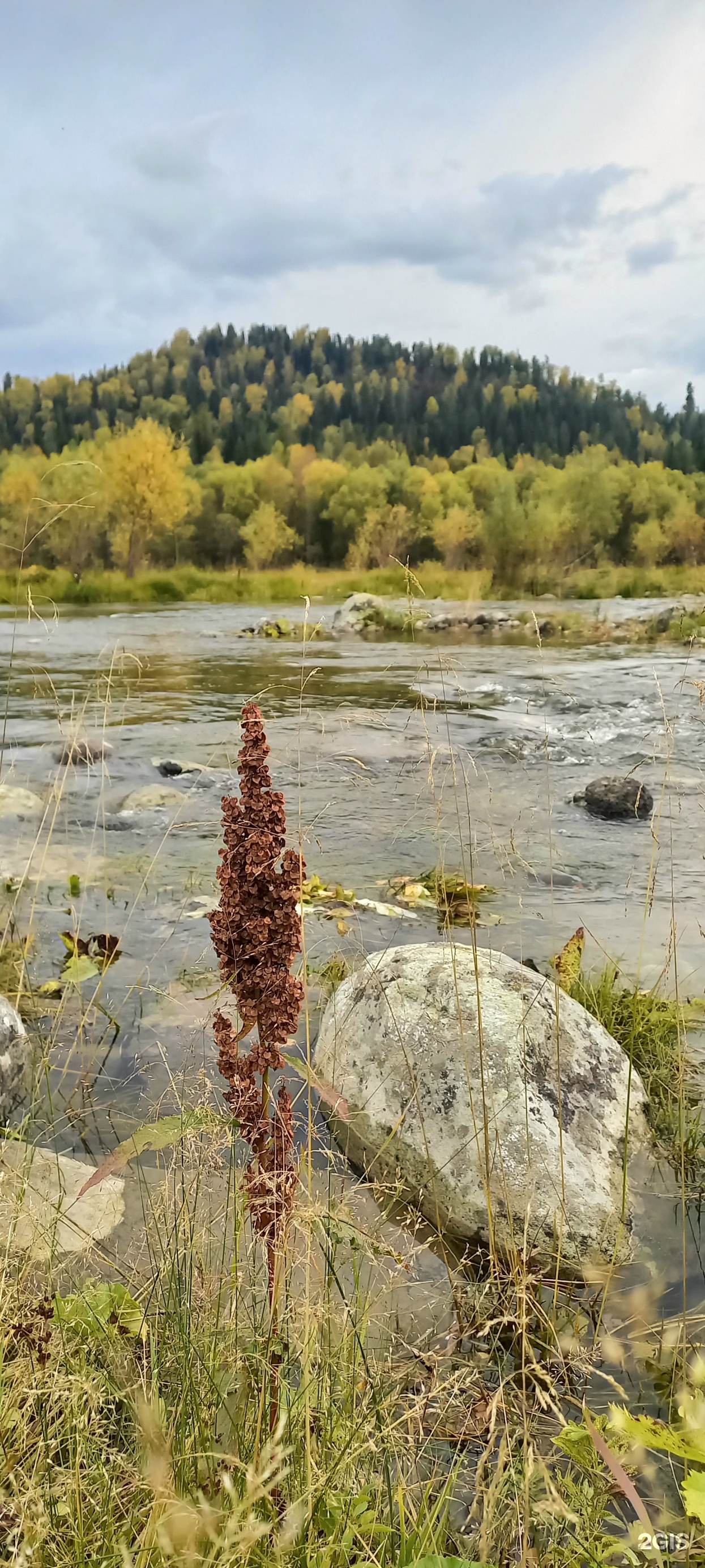 Замок - фото 17