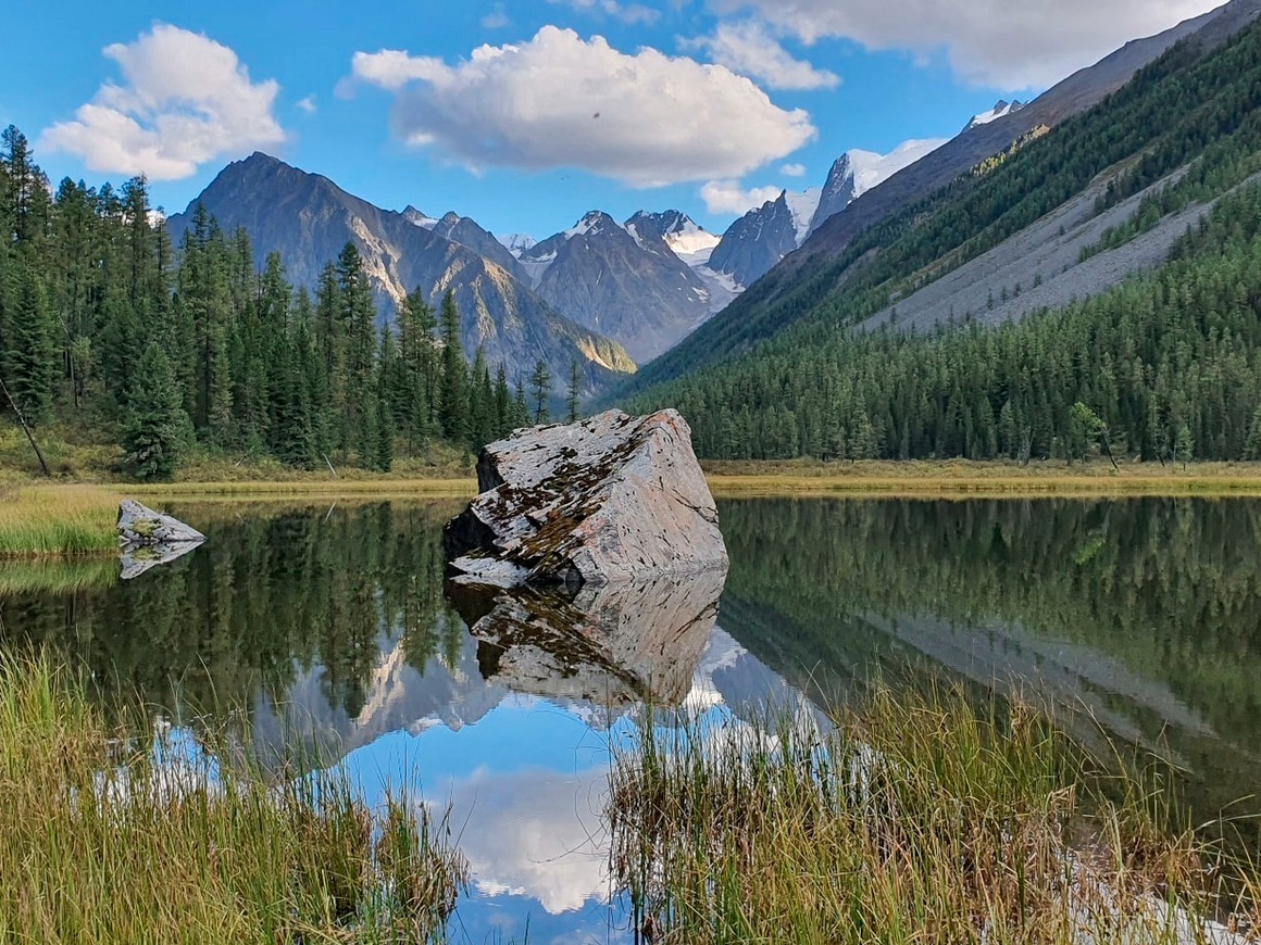 Шавлинский заказник - фото 1