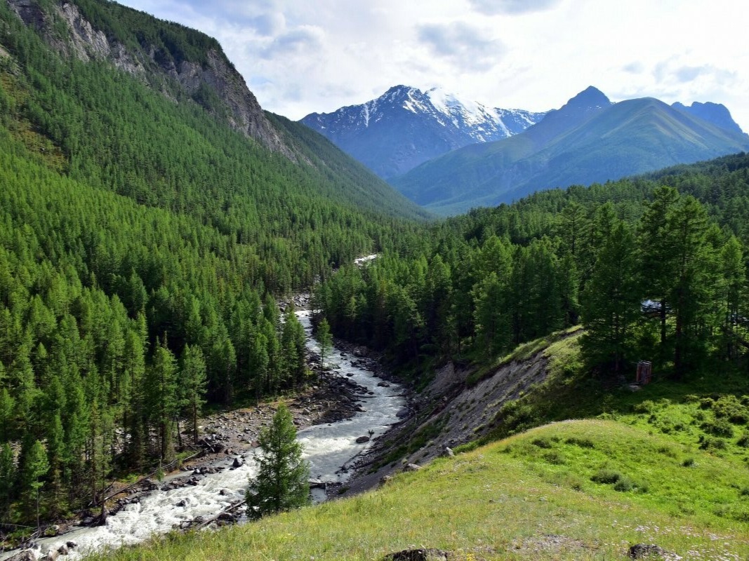 Шавлинский заказник - фото 3