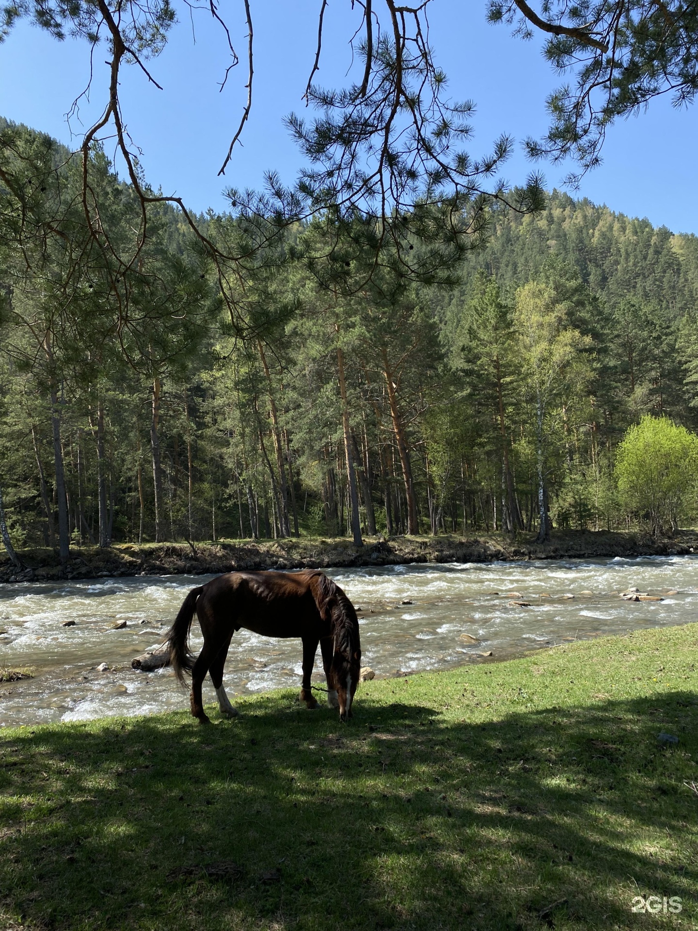 Двухместный номер с двуспальной кроватью - фото 7