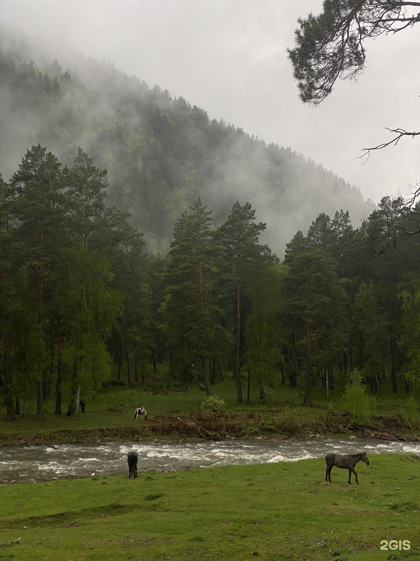 Двухместный номер с двуспальной кроватью - фото 8
