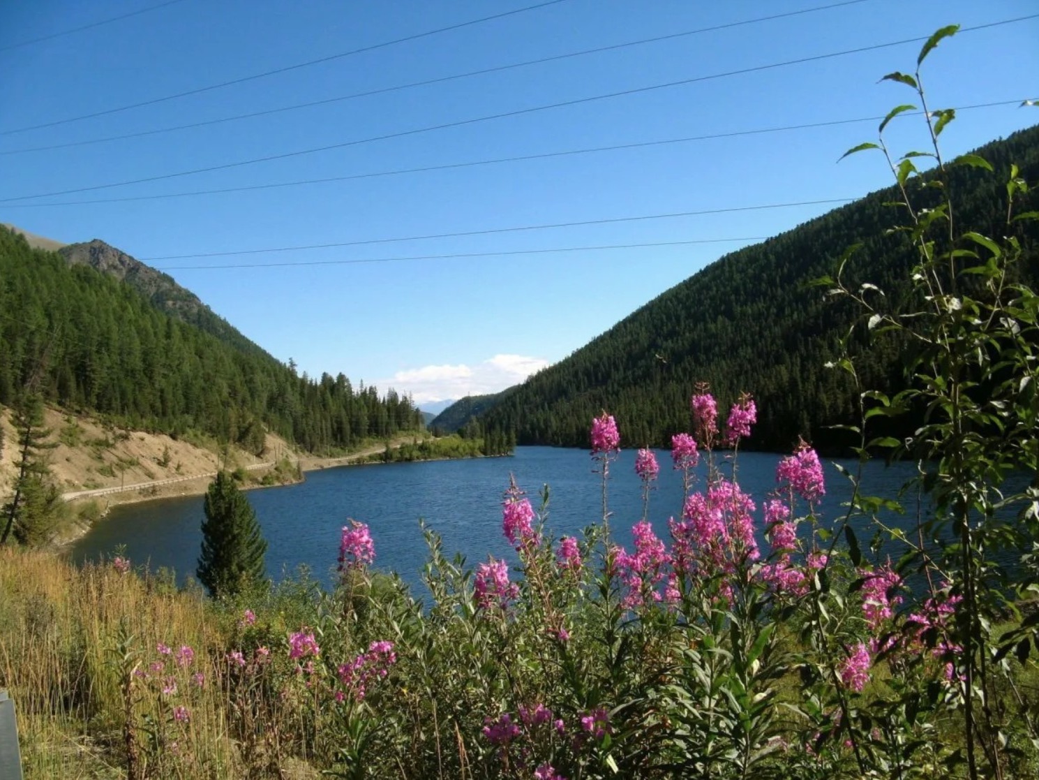 Мертвое озеро Чейбек-Коль - фото 6