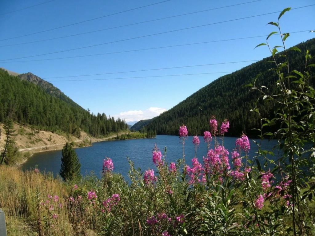 Мертвое озеро Чейбек-Коль - фото 6