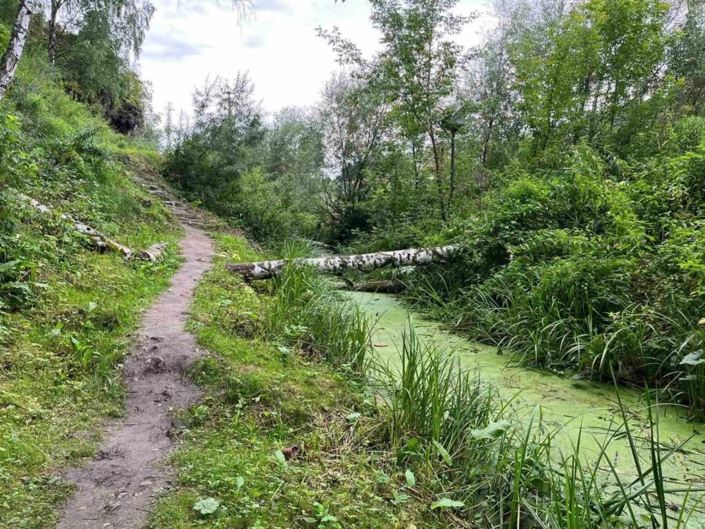 Гора Комсомольская - фото 5