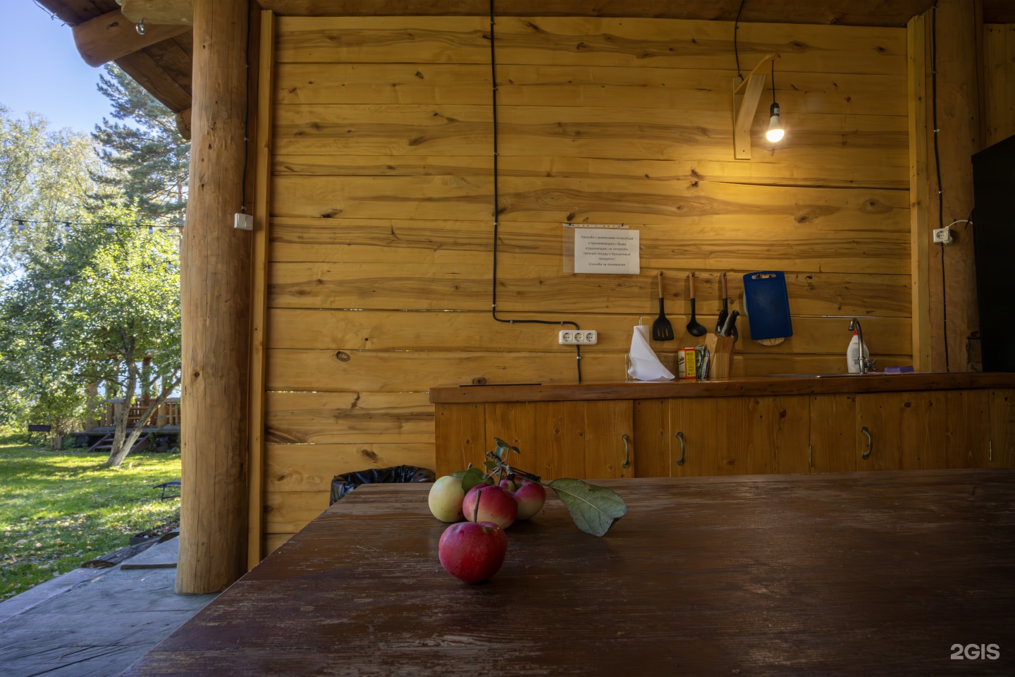 Телецкие терема - фото 41