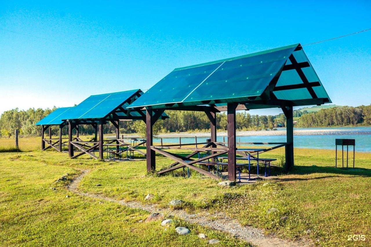 Олимп - фото 2