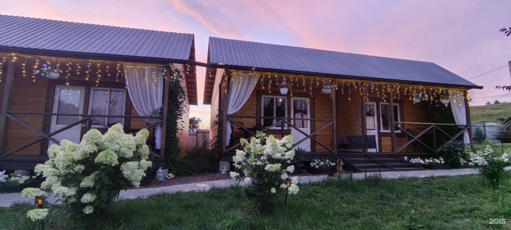 Цветы Алтая - фото 2