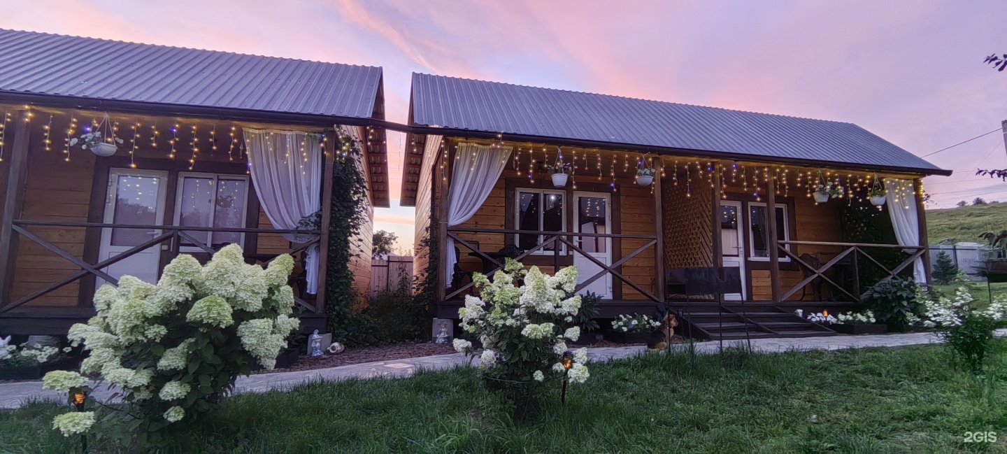 Цветы Алтая - фото 2