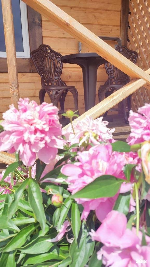 Цветы Алтая - фото 5