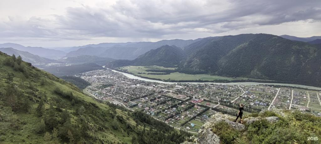 Цветы Алтая - фото 7