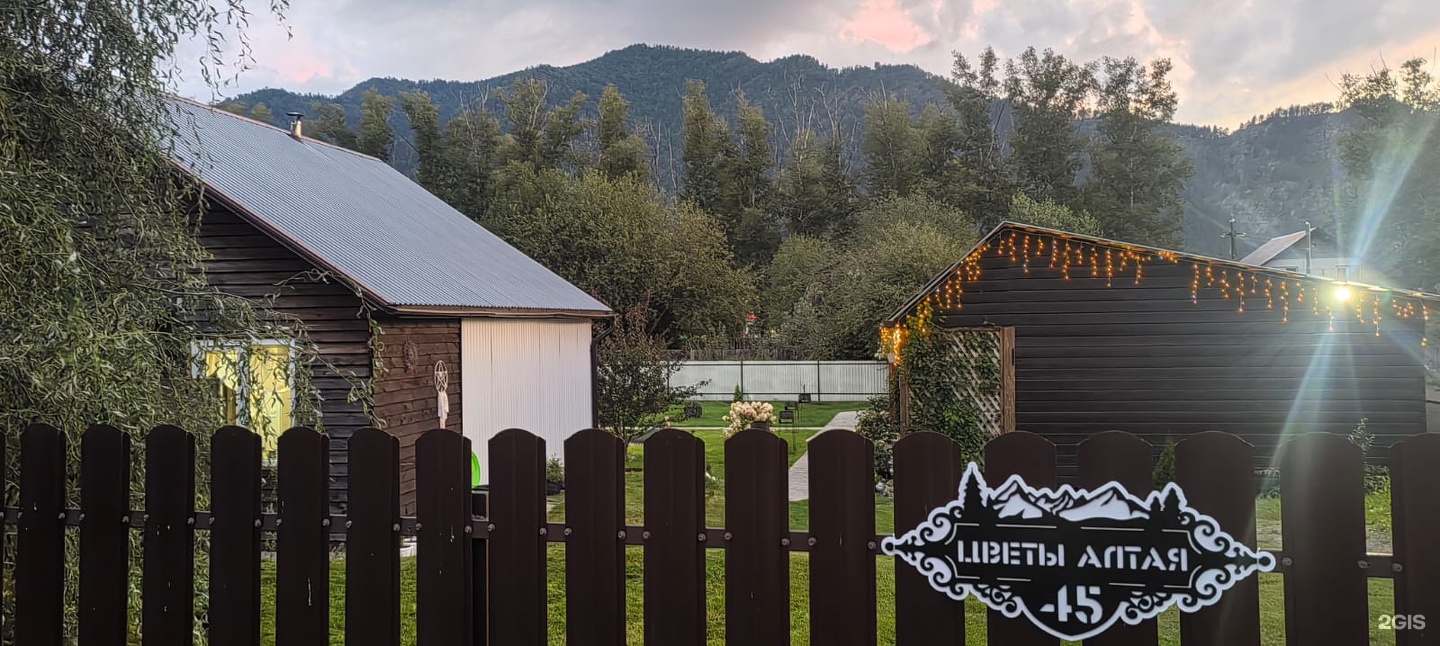 Цветы Алтая - фото 8