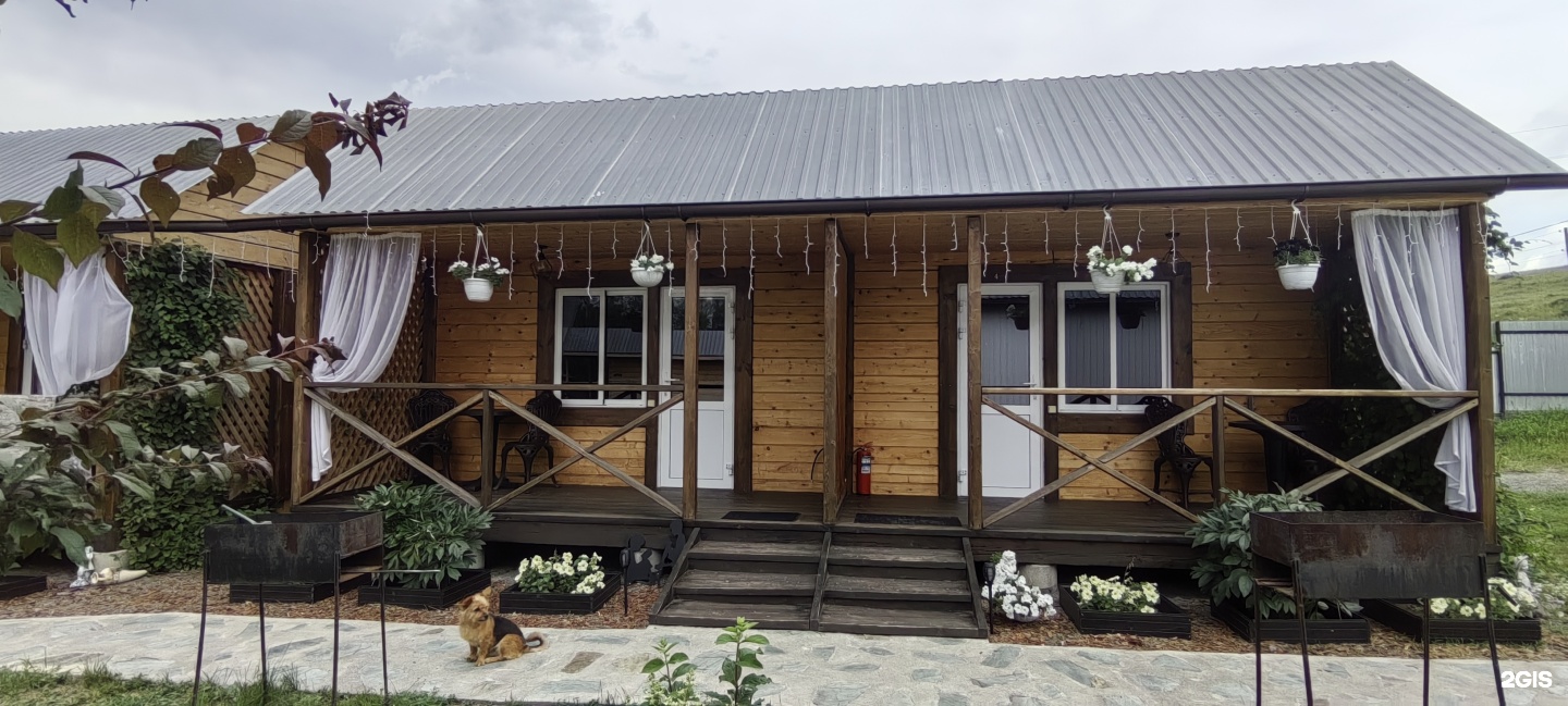 Цветы Алтая - фото 9