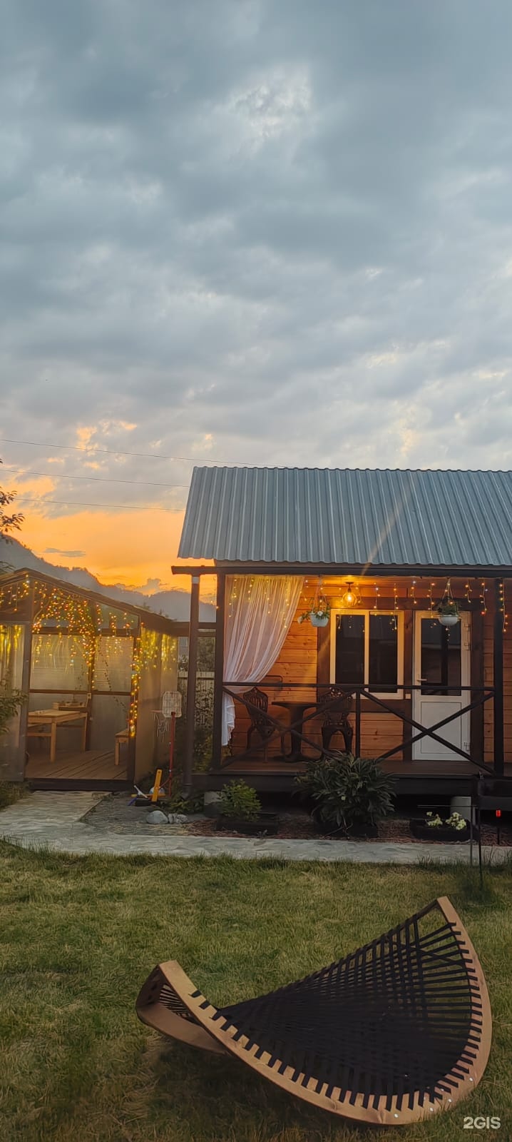 Цветы Алтая - фото 10