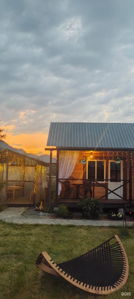 Цветы Алтая - фото 10