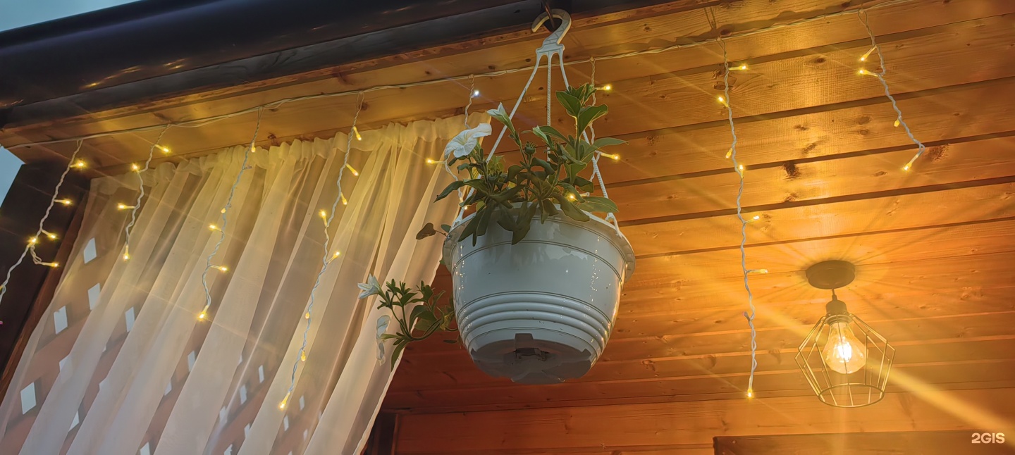 Цветы Алтая - фото 17