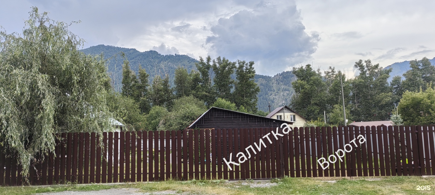 Цветы Алтая - фото 19