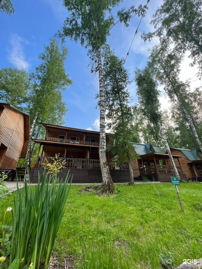 Хаски - фото 4