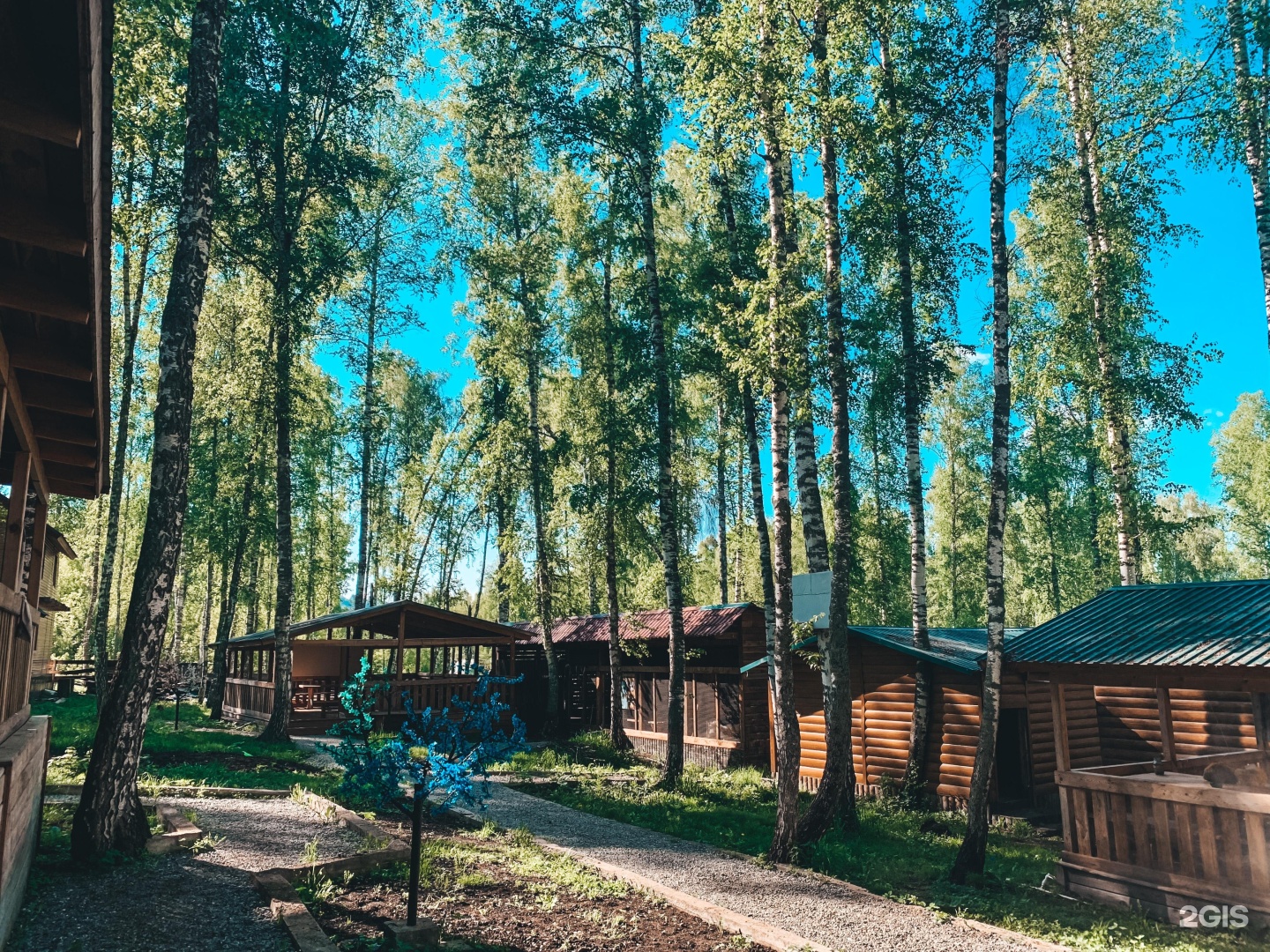 Хаски - фото 5