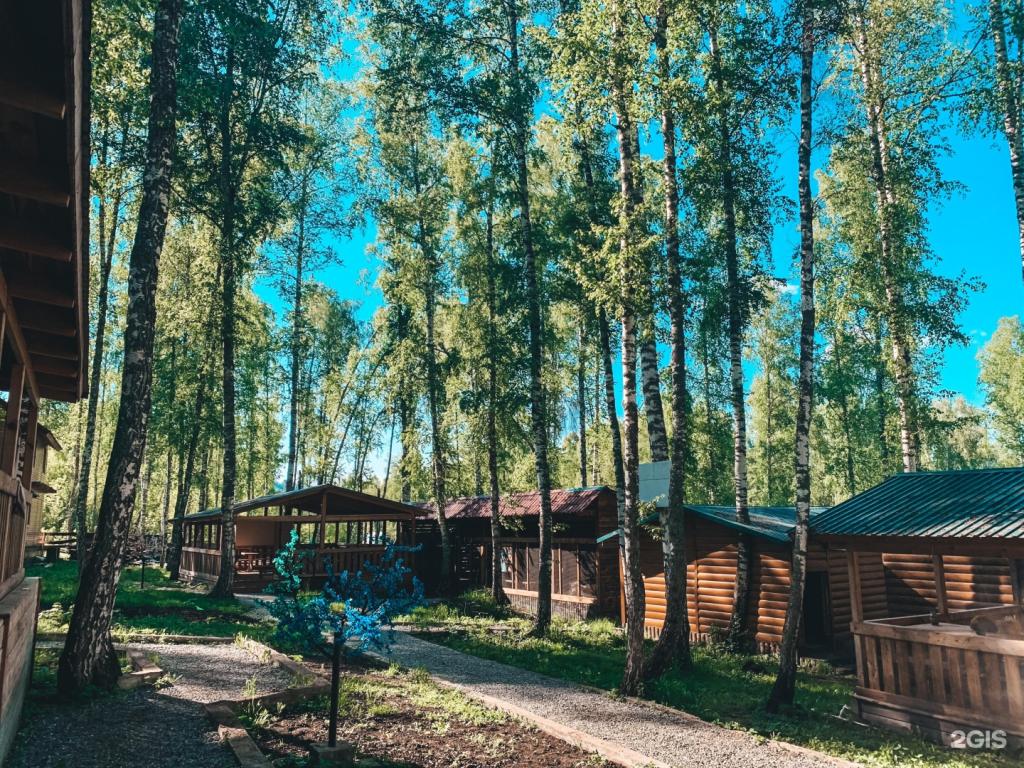 Хаски - фото 5