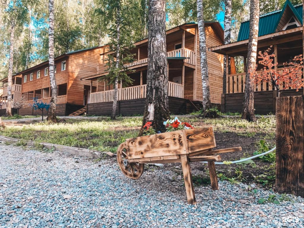 Хаски - фото 7