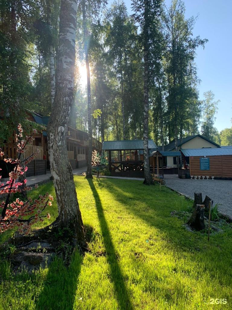 Хаски - фото 10