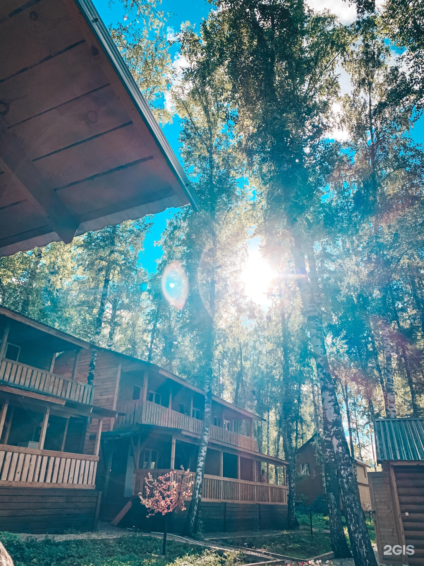 Хаски - фото 11