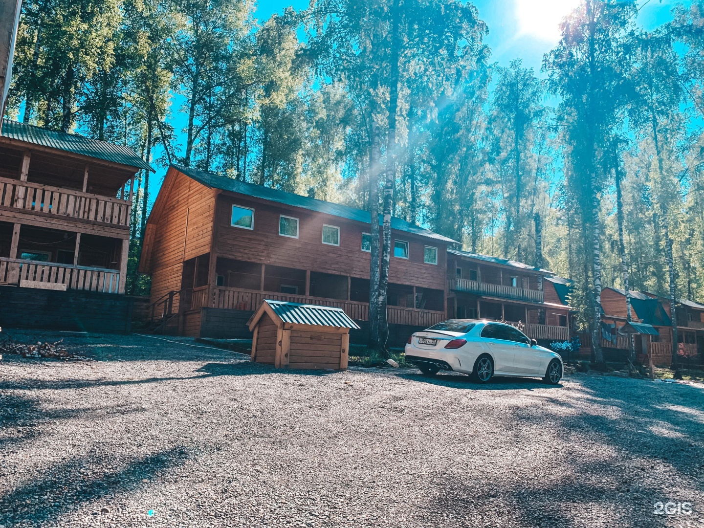 Хаски - фото 15