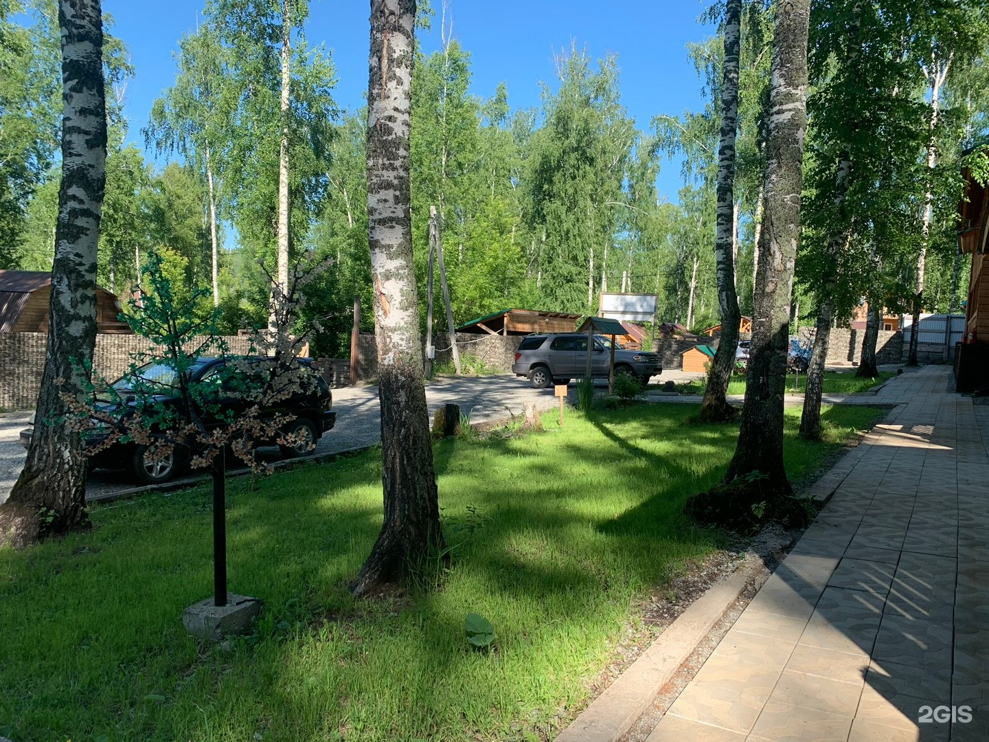 Хаски - фото 20