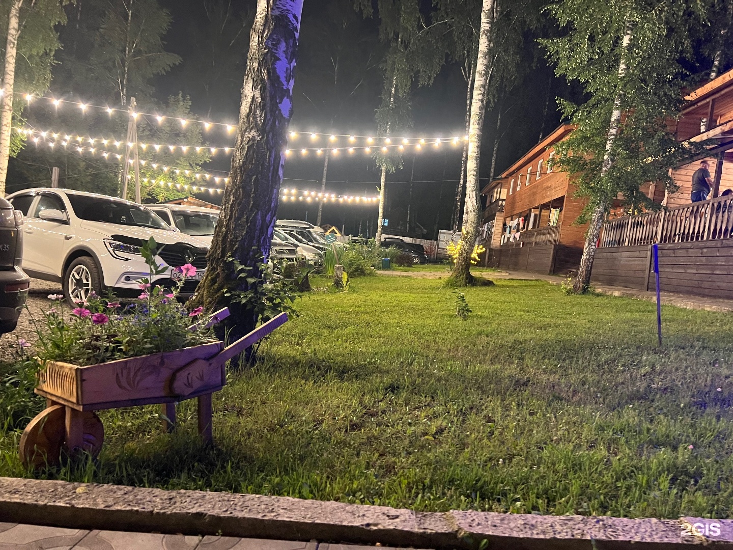 Хаски - фото 21