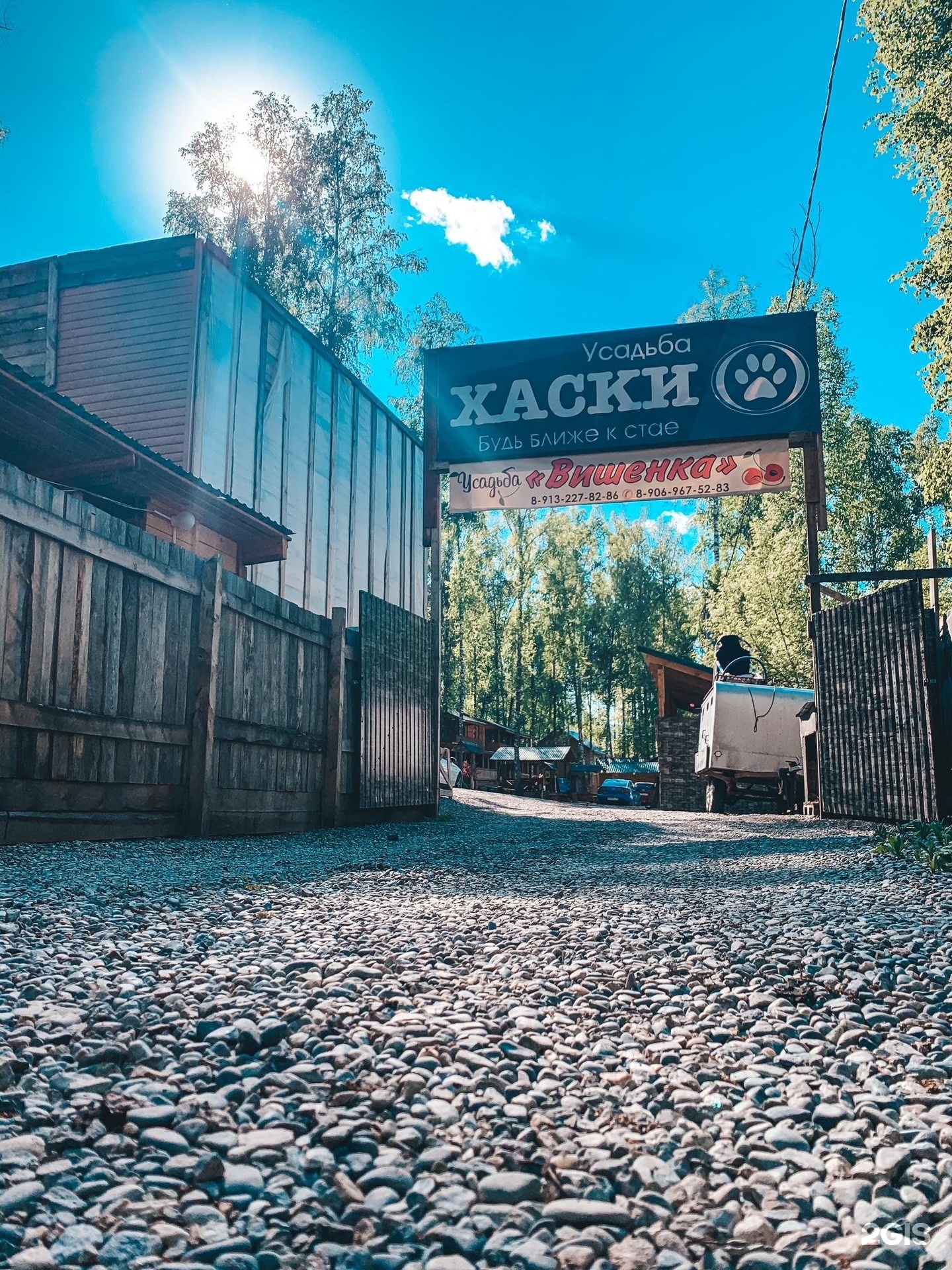 Хаски - фото 24