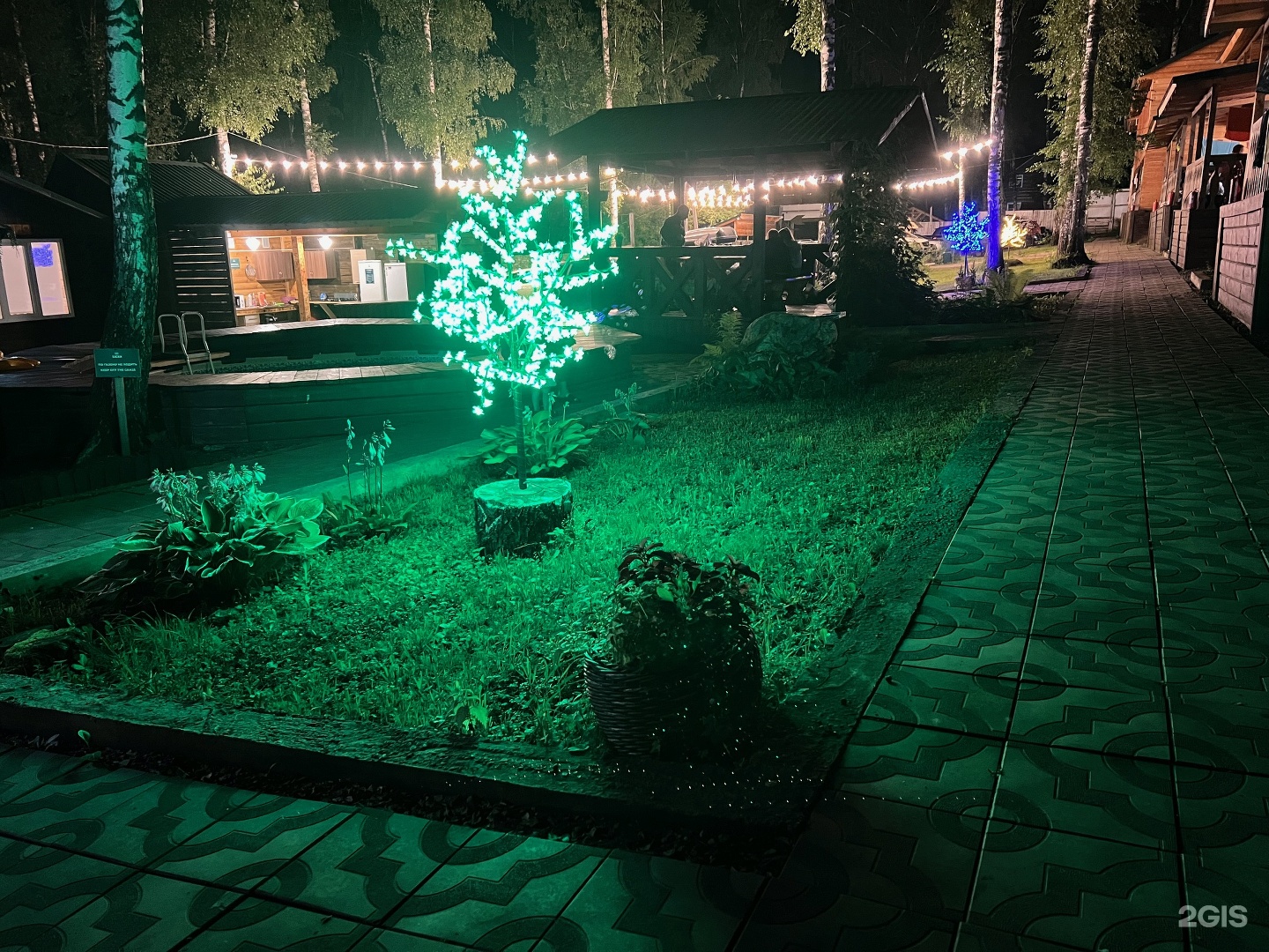 Хаски - фото 25