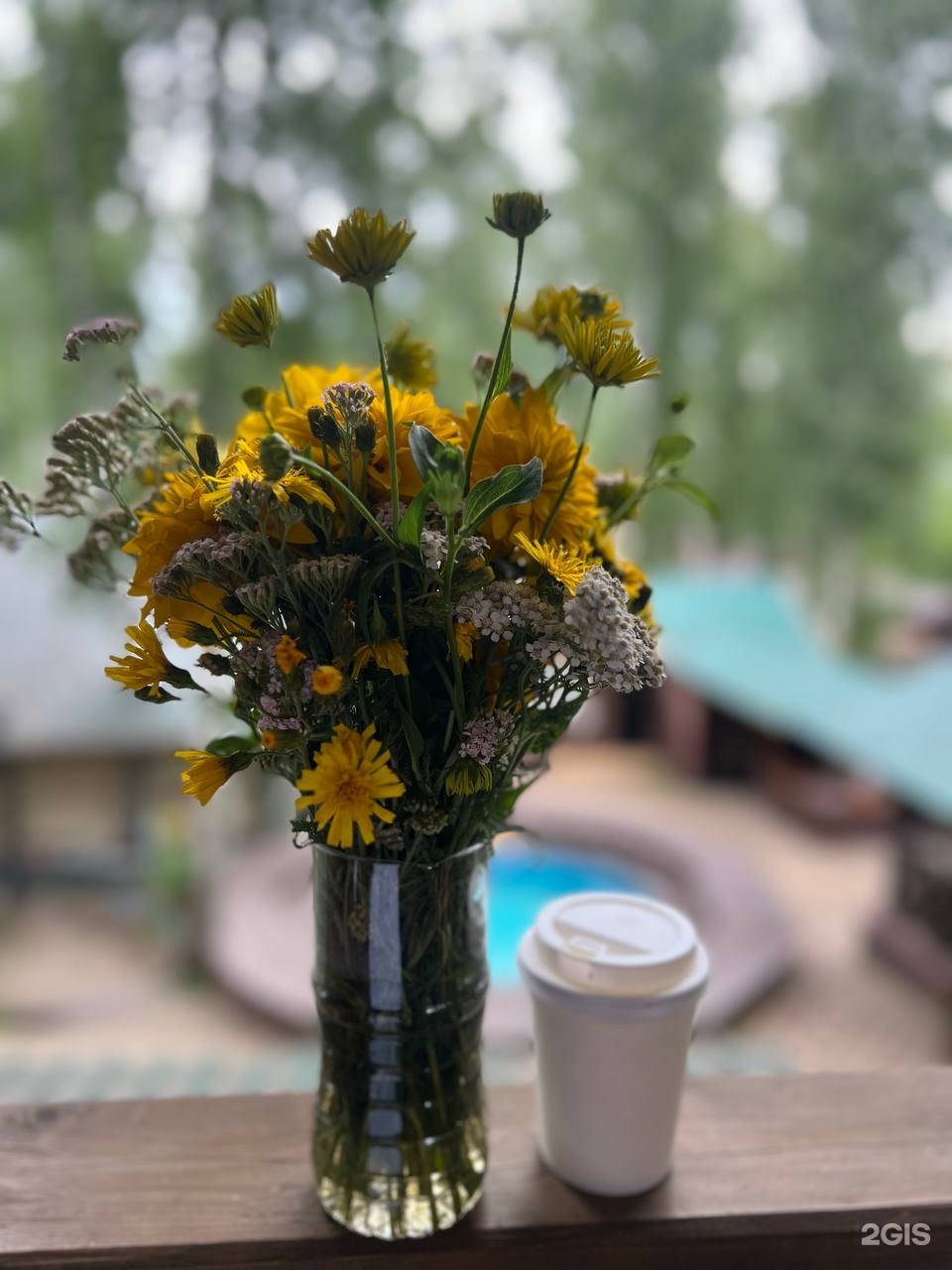 Хаски - фото 27