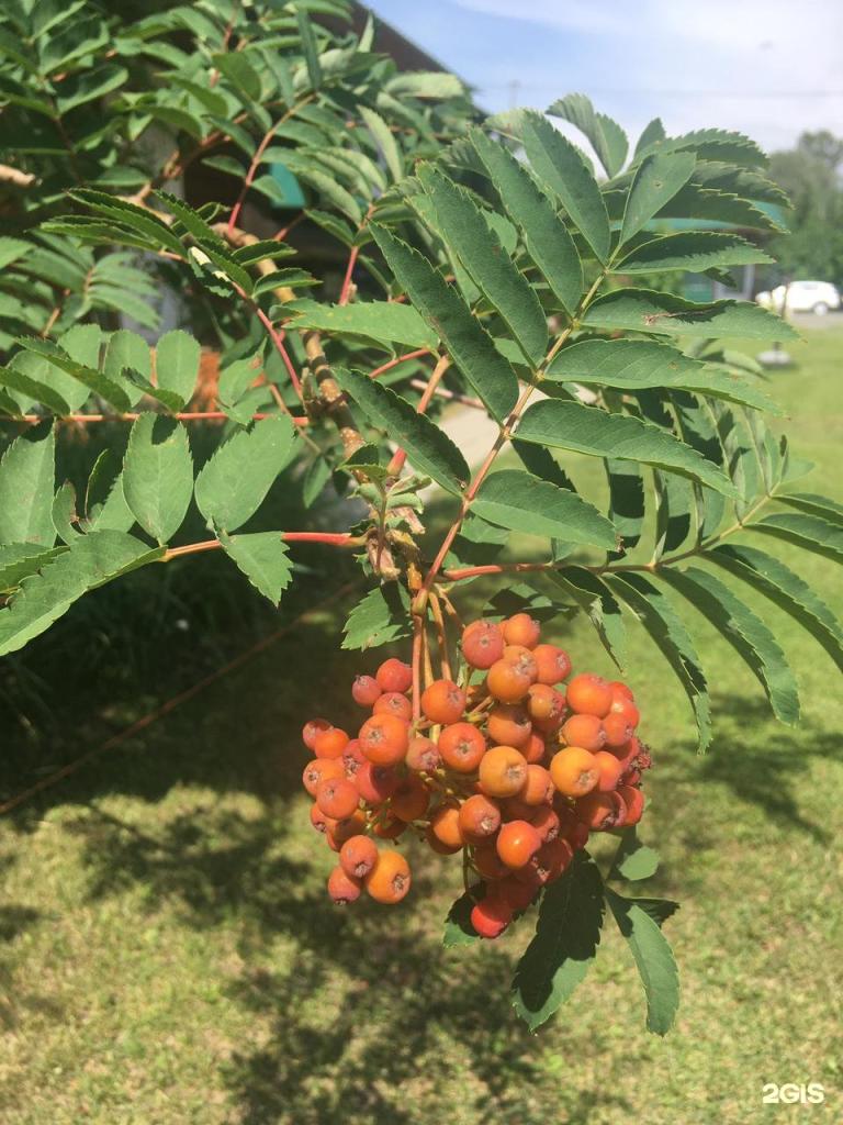 Гостевой дом - фото 3